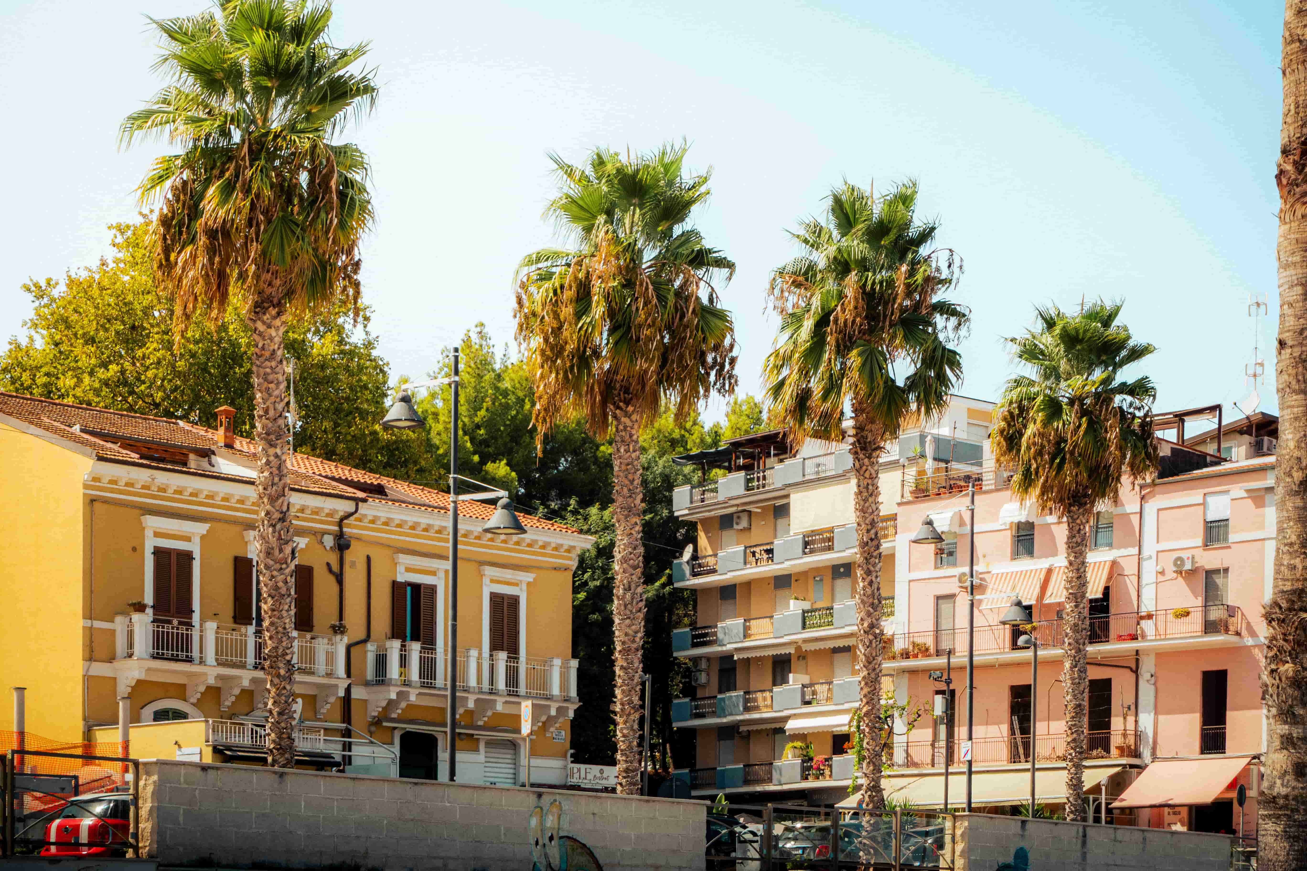 Vasto Marina Palmiers